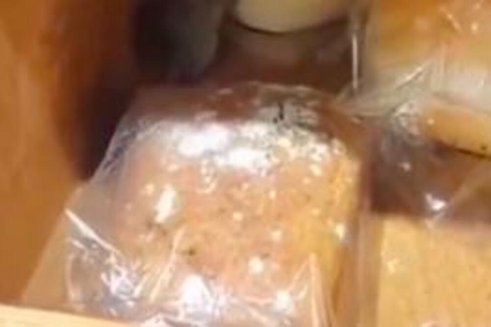 MIŠ NAVALIO NA HLEB, GRAĐANI ZGROŽENI PRIZOROM: Proširio se snimak iz PEKARE, reagovala INSPEKCIJA (VIDEO)