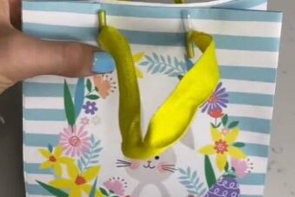 CEO ŽIVOT SMO UKRASNE KESE KORISTILI POGREŠNO: Devojka otkrila jedini ISPRAVAN NAČIN, obradujte bližnje za PRAZNIKE