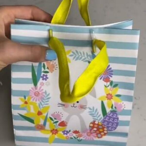 CEO ŽIVOT SMO UKRASNE KESE KORISTILI POGREŠNO: Devojka otkrila jedini ISPRAVAN NAČIN, obradujte bližnje za PRAZNIKE