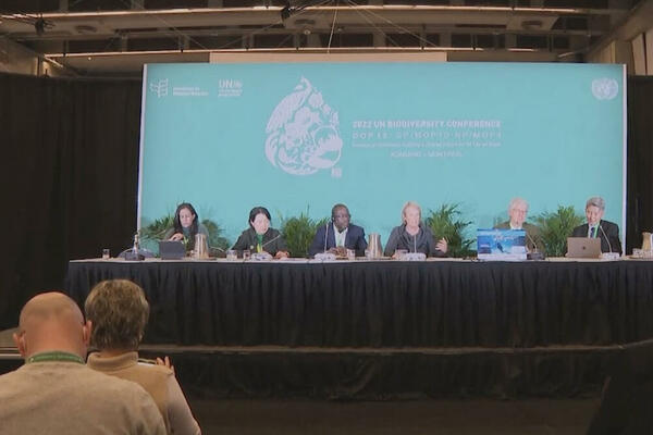 Kineski projekat o zaštiti životne sredine odobren na COP15 (VIDEO)