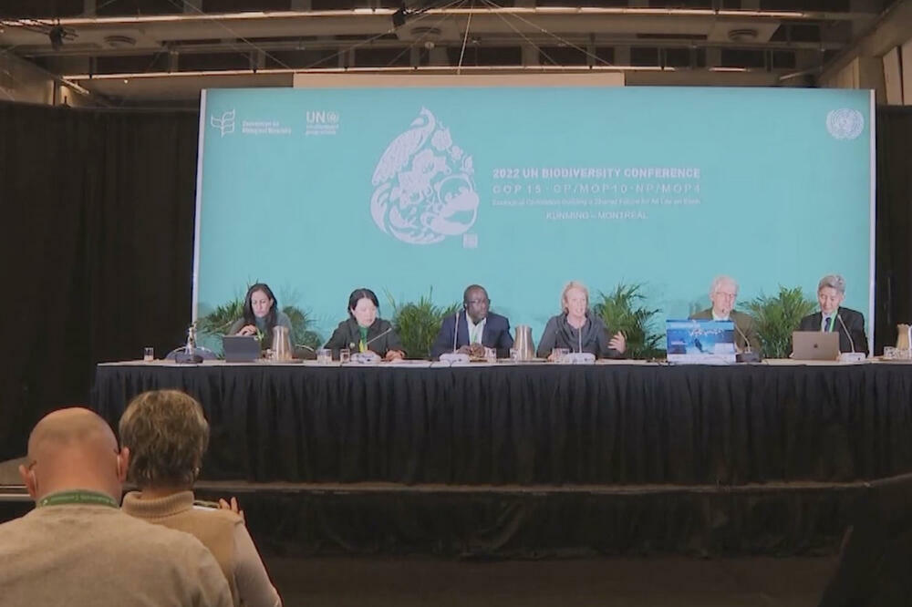 Kineski projekat o zaštiti životne sredine odobren na COP15 (VIDEO)