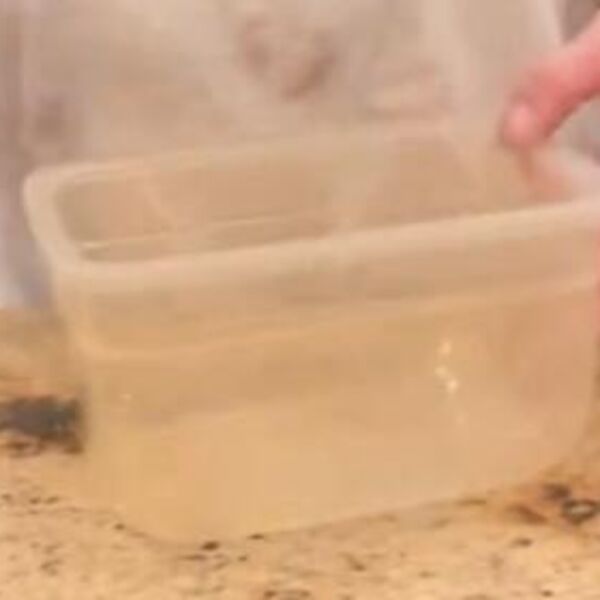 SVE VREME POGREŠON KORISTITE PLASTIČNE POSUDE ZA HRANU: Žena otkrila PRAVILAN NAČIN, od sada ćete samo ovako raditi