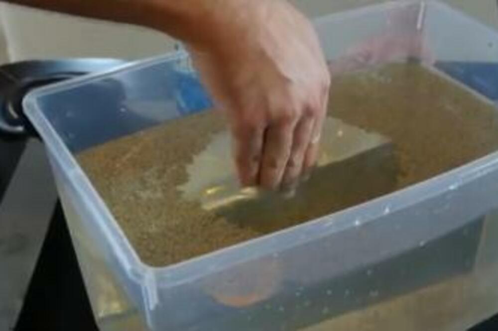 GENIJALNIM TRIKOM PREŠAO GAZDU DA NE PLATI STANARINU: Čovek ostao u neverici (VIDEO)