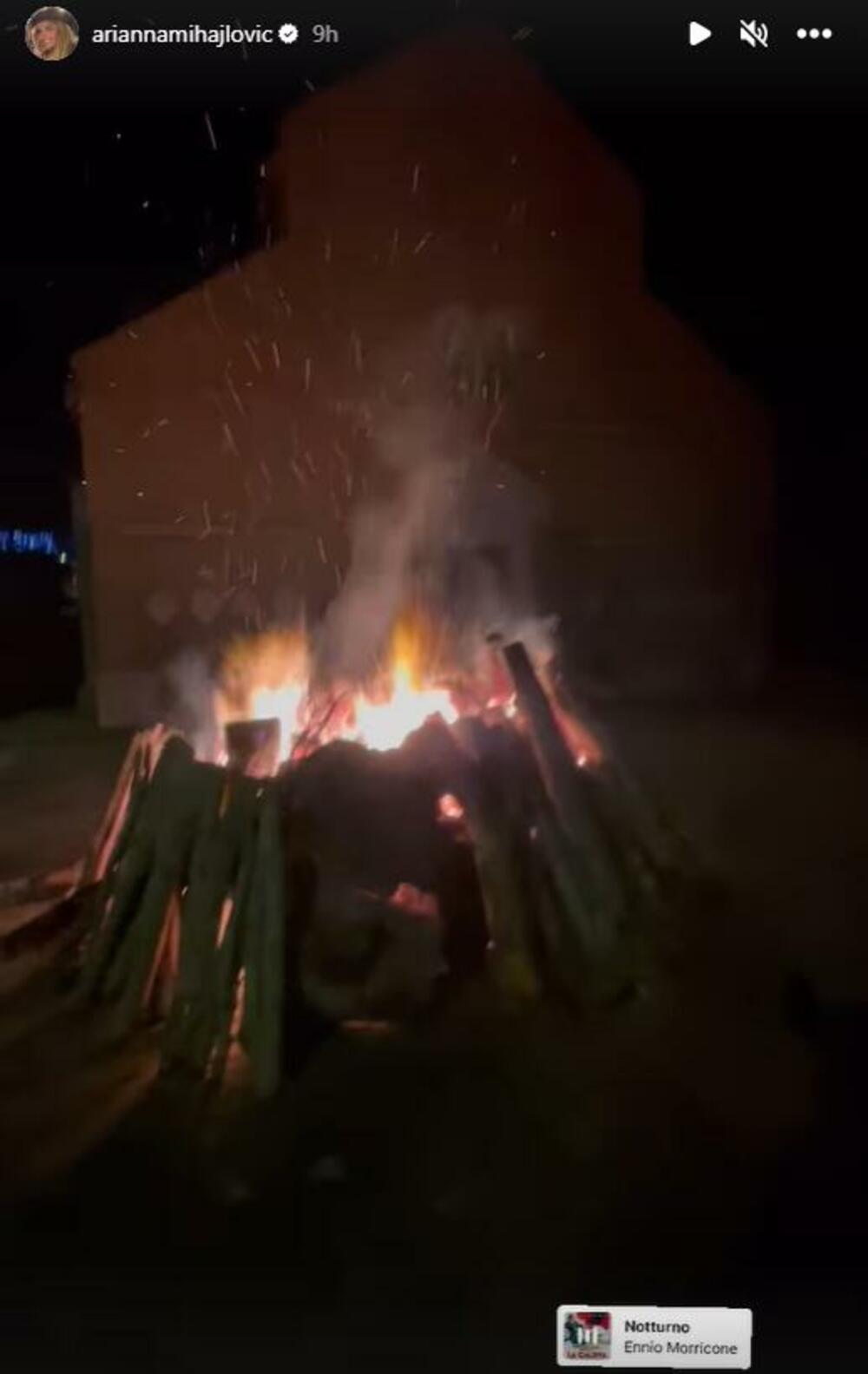 Arijana Rapaćoni, Arijana Mihajlović