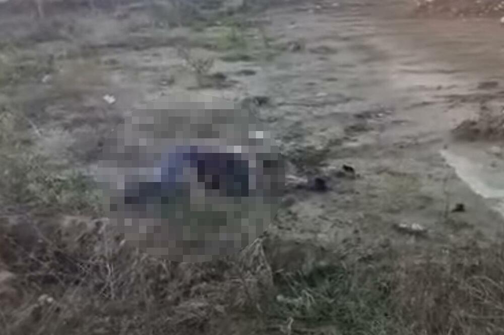 "LJUDI, OVDE JE MRTAV ČOVEK": Novinar iz Pirota slučajno PRONAŠAO TELO muškarca u blizini prevrnutog vagona