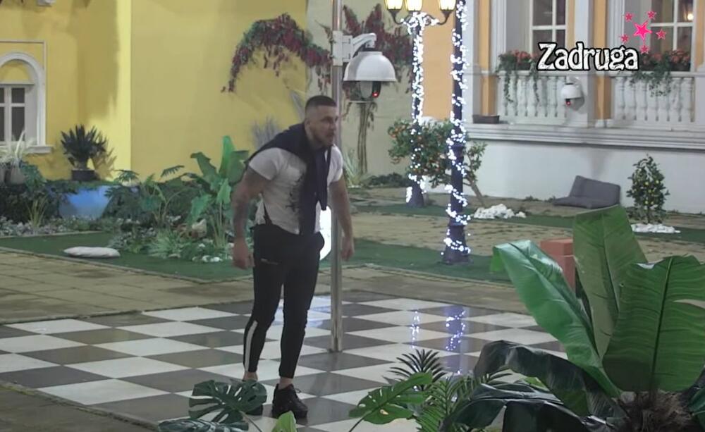 Sanja Grujić, Marko Stevanović