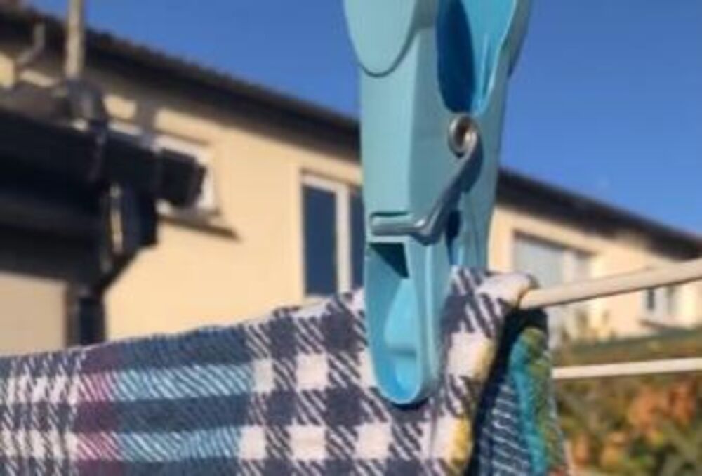 Štipaljka, Sušenje veša