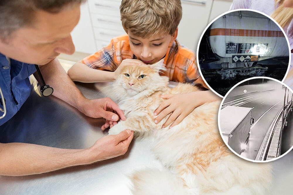 MOŽE DOĆI DO FATALNOG ISHODA, NISU SAMO LJUDI UGROŽENI: Veterinar objašnjava kako je amonijak opasan po ŽIVOTINJE