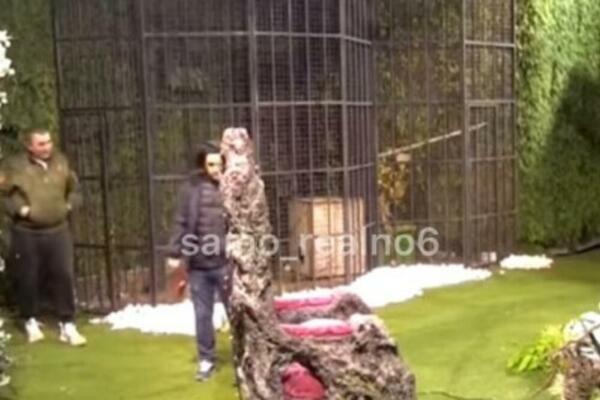 POJAVIO SE SNIMAK MIKIJEVOG BEŽANJA IZ ZADRUGE: Nije sve sam URADIO, evo ko mu je POMOGAO (VIDEO)