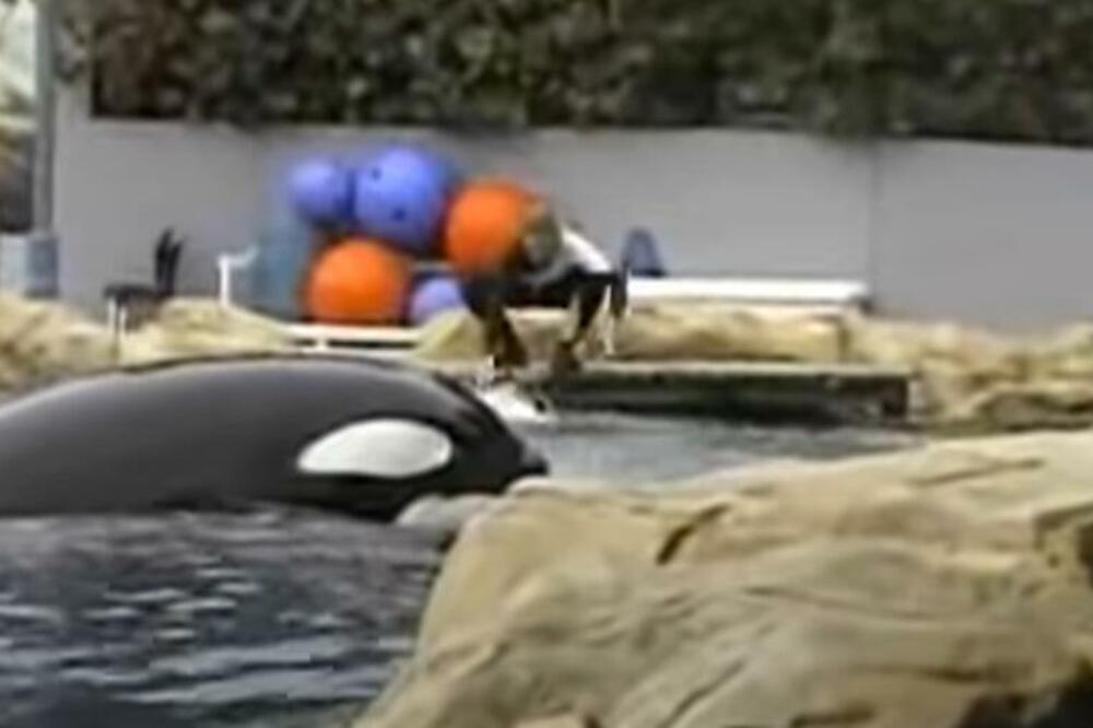 TURISTKINJA SVEDOK BRUTALNOG KASAPLJENJA, GLEDALA KAKO ŽENU UBIJA KIT UBICA: Prizor je i dalje PROGANJA (VIDEO)