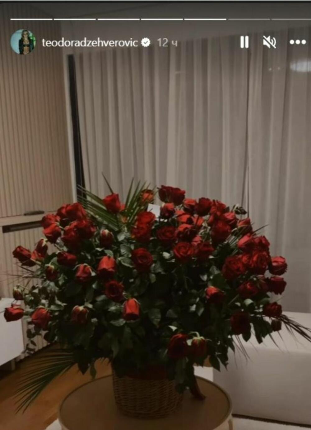 Teodoora se pohvalila novim poklonom