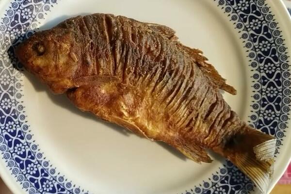 PRIPREMITE PEČENI KARAŠ IZ RERNE: 1 STVAR je vrlo važno da urdite, samo tako će se DOBRO ISPEĆI