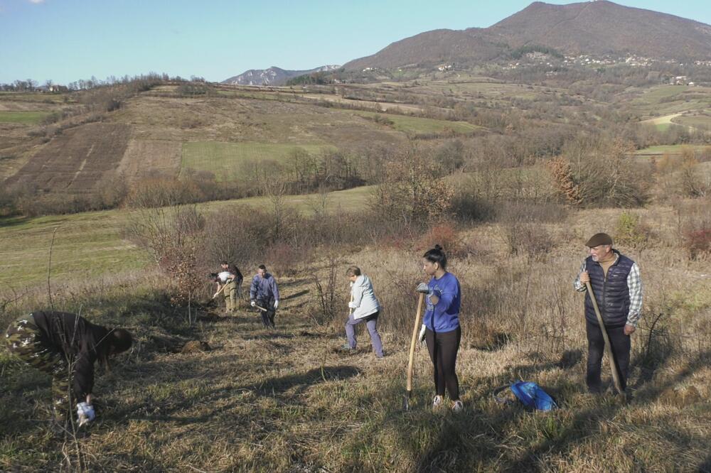 U ŠUMI NA PADINAMA OVČARA JE SVAKO DRVO ZLATA VREDNO: Stefan je uzeo stvar u SVOJE RUKE i postao primer svima! FOTO