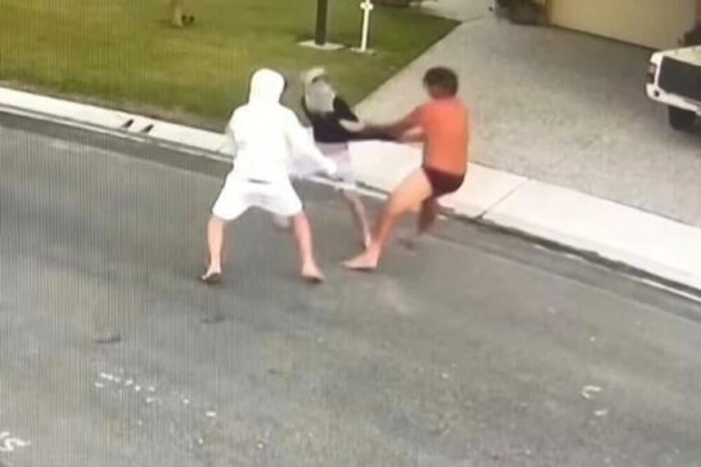 OTAC JE SAMO U GAĆAMA IZAŠAO NA ULICU DA SE OBRAČUNA: Ceo KOMŠILUK je USTAO NA NOGE kada je VIDEO ŠTA RADI (VIDEO)