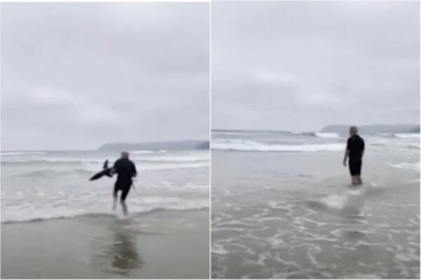 GOLIM RUKAMA VRATIO AJKULU U OKEAN, LJUDI VRIŠTALI: Pogledajte prizor koji je MILIONE ŠOKIRAO (VIDEO)