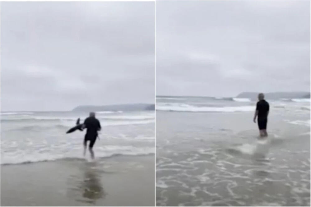 GOLIM RUKAMA VRATIO AJKULU U OKEAN, LJUDI VRIŠTALI: Pogledajte prizor koji je MILIONE ŠOKIRAO (VIDEO)