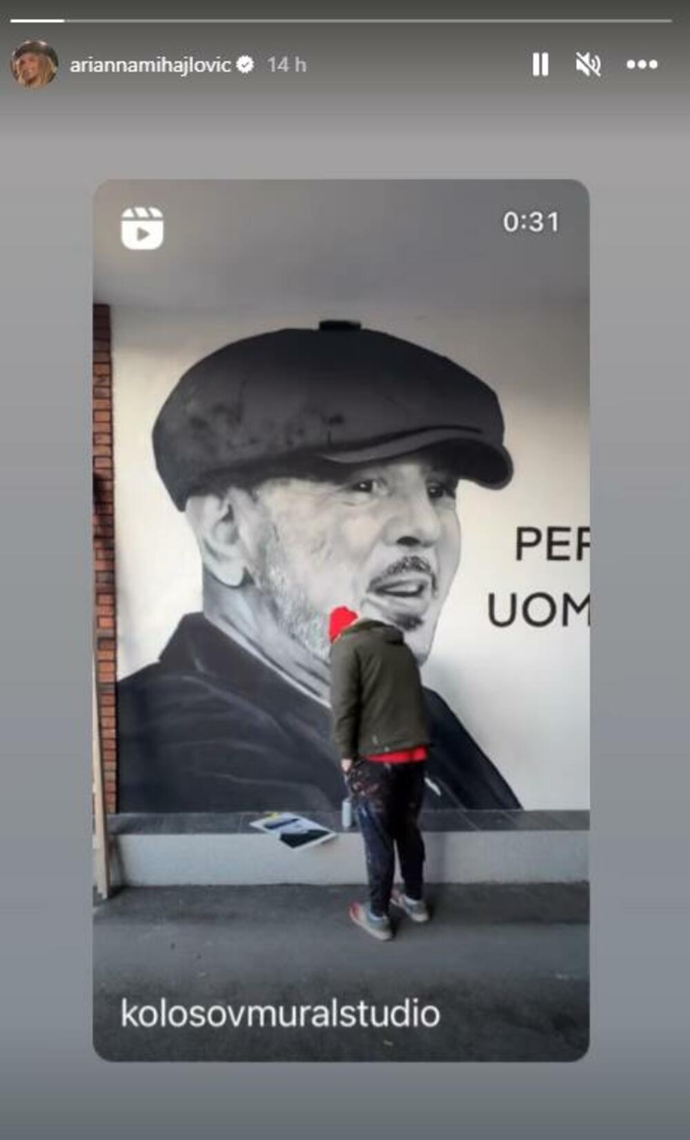 Objava Arijane Mihajlović