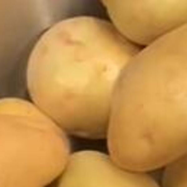 RUS SIŠAO U PODRUM PO KROMPIR I NA MESTU PAO MRTAV, ŽENA JE SIŠLA ZA NJIM I DESILO SE ISTO: SVI rizikuju sa ovim