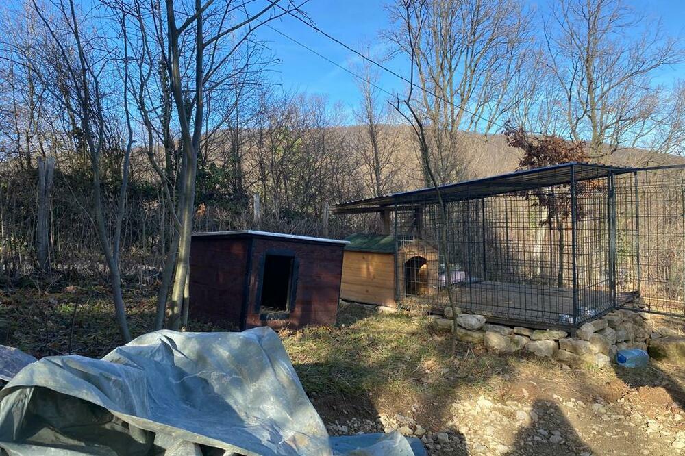 OGLASIO SE MUP POVODOM HAPŠENJA ŽENE KOJA JE ČUVALA PSE NA KOSMAJU! Određeno joj je zadržavanje do 48 sati