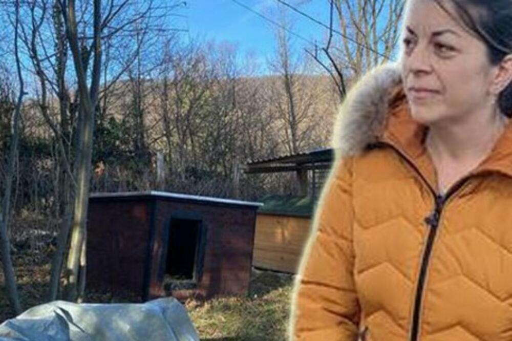 "MESECIMA SU TERORISALI MOJU DECU": Oglasila se majka dečaka koje su NAPADALI psi koji su UBILI VLADANA! (VIDEO)