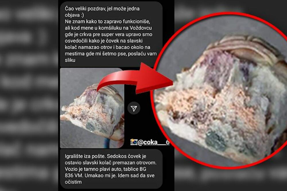 OTROV ZA PSE NAMAZALI NA SLAVSKI KOLAČ PA BACILI NA DEČIJE IGRALIŠTE: Užasan prizor na Voždovcu! (FOTO)