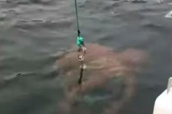 Prizor sa pecanja uliva jezu u kosti: Osetila da je vuče nešto TEŠKO, pa ugledala crvenu NEMAN (VIDEO)