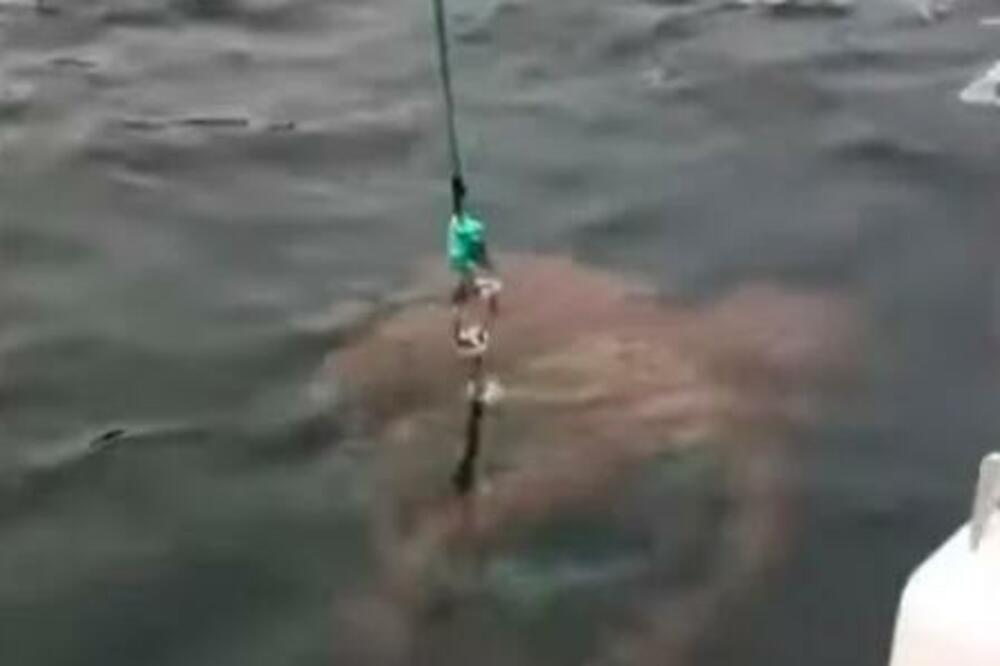 Prizor sa pecanja uliva jezu u kosti: Osetila da je vuče nešto TEŠKO, pa ugledala crvenu NEMAN (VIDEO)
