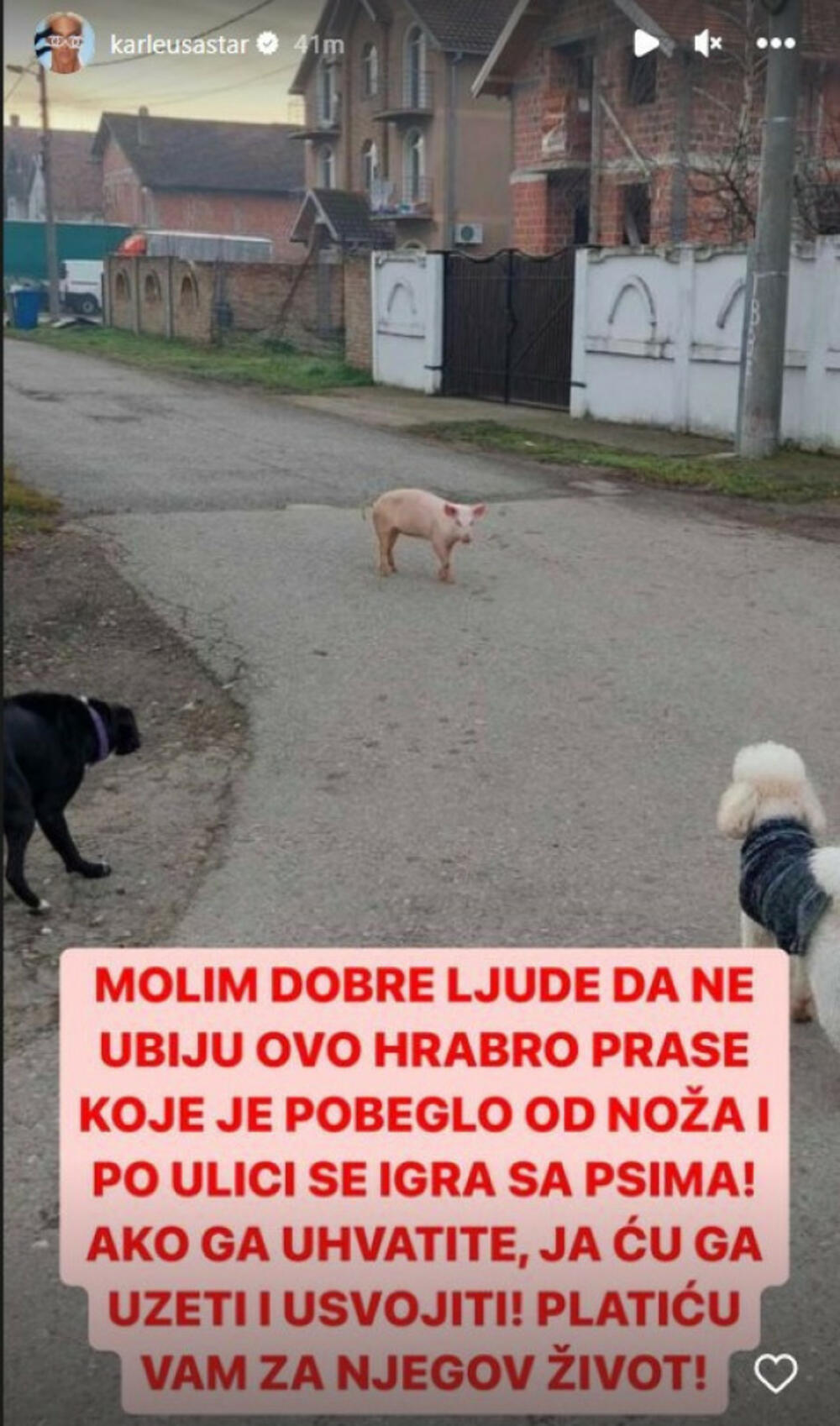 Objava Jelene Karleuše