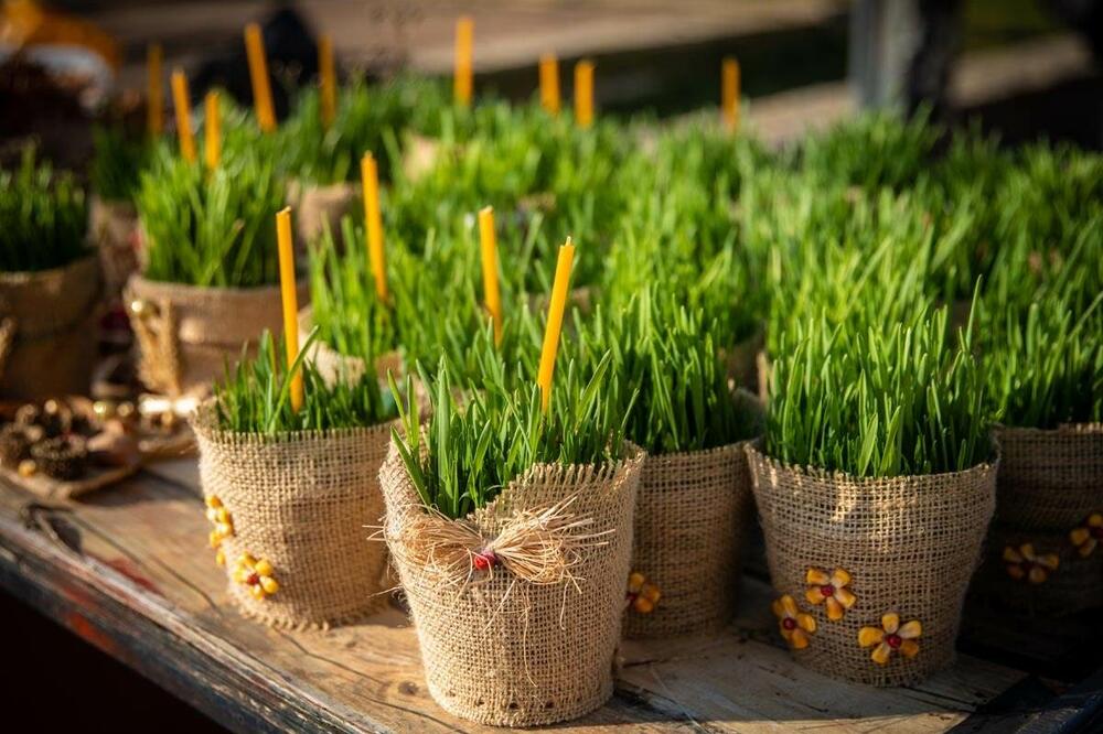ETNOLOG OTKRIVA ŠTA DA RADITE SA BOŽIĆNOM PŠENICOM POSLE PRAZNIKA: Nikako je NE BACAJTE, to donosi LOŠU SREĆU!