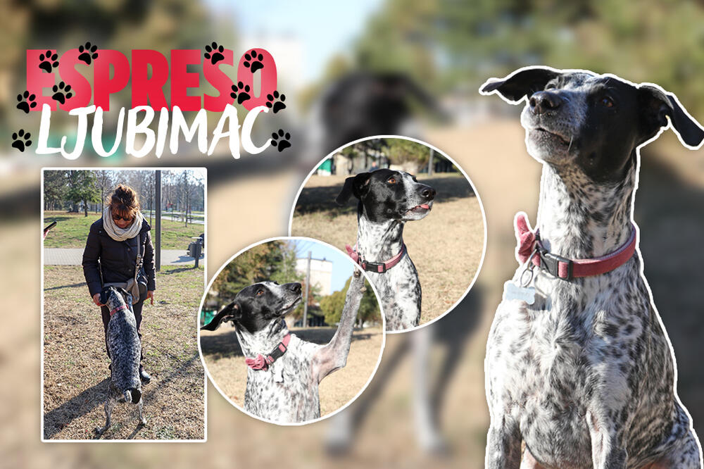 UPOZNAJTE IRIS KOJA OBOŽAVA KIŠU: Vaspitana i pametna, ova slatkica ima MIŠLJENJE O SVEMU! (FOTO)