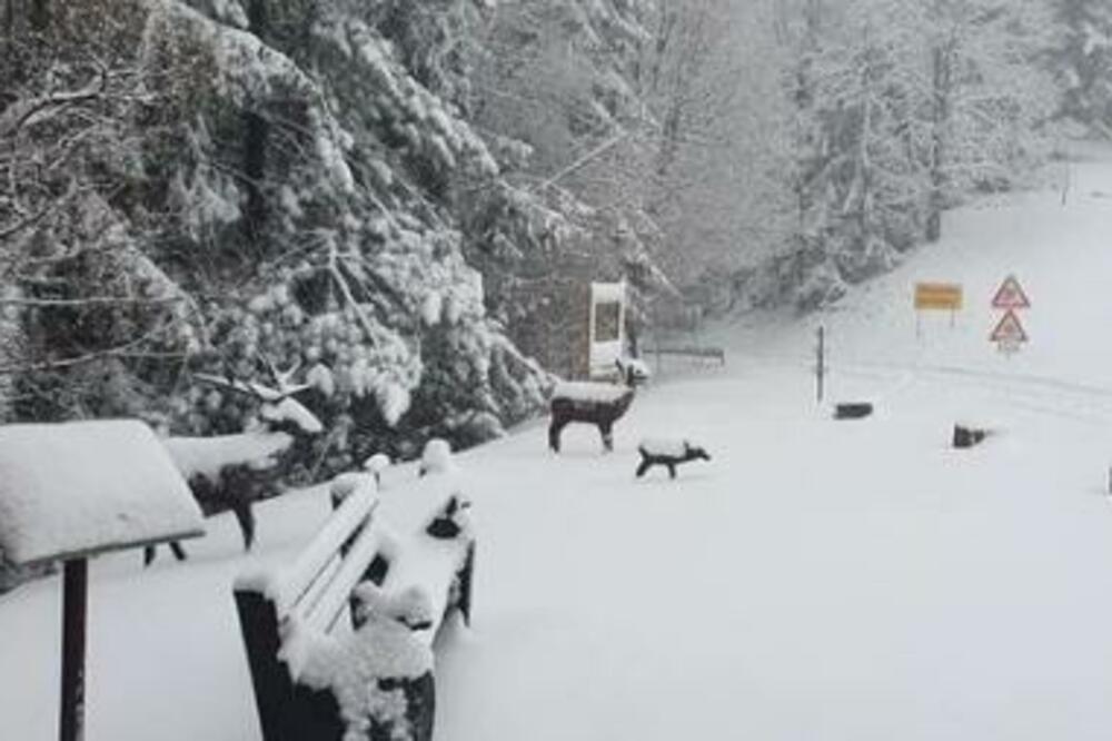 DA LI ĆEMO MOĆI DA PRAVIMO SNEŠKA BELIĆA U BEOGRADU? Ovo je najnovija vremenska prognoza za naredne dane! (FOTO)