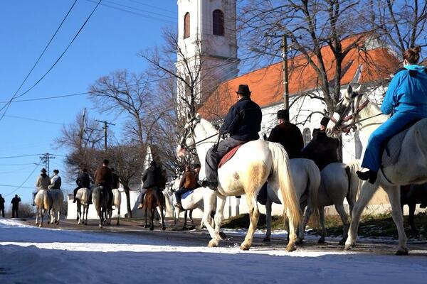 BOŽIĆNA POVORKA U SREMSKOJ MITROVICI: Tradicionalni običaj koji se poštuje VEKOVIMA