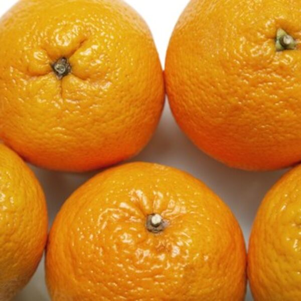 Nimalo nije slučajno: Znate li zašto se pomorandže pakuju baš u crvene mrežice?