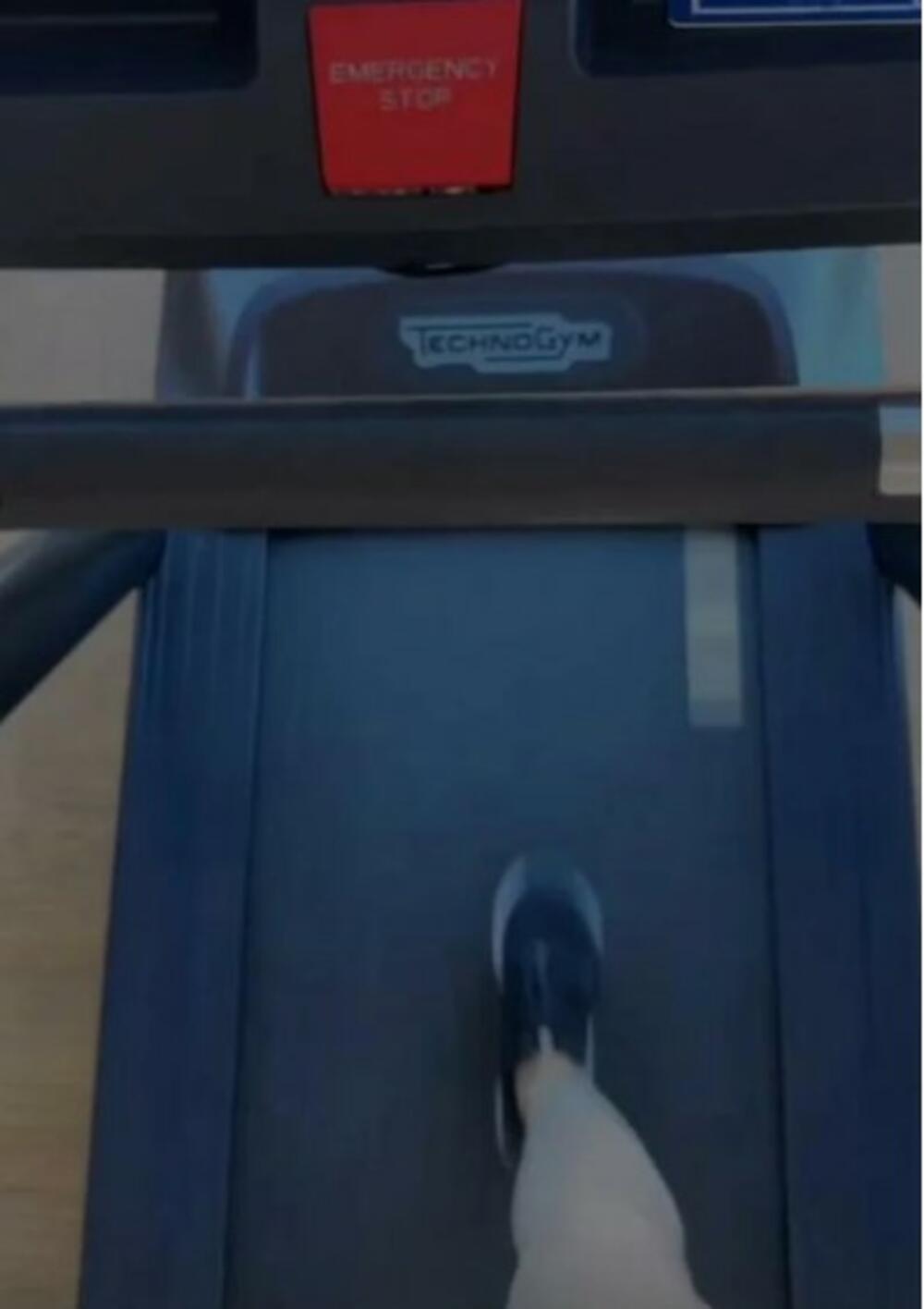 Teodora Džehverović