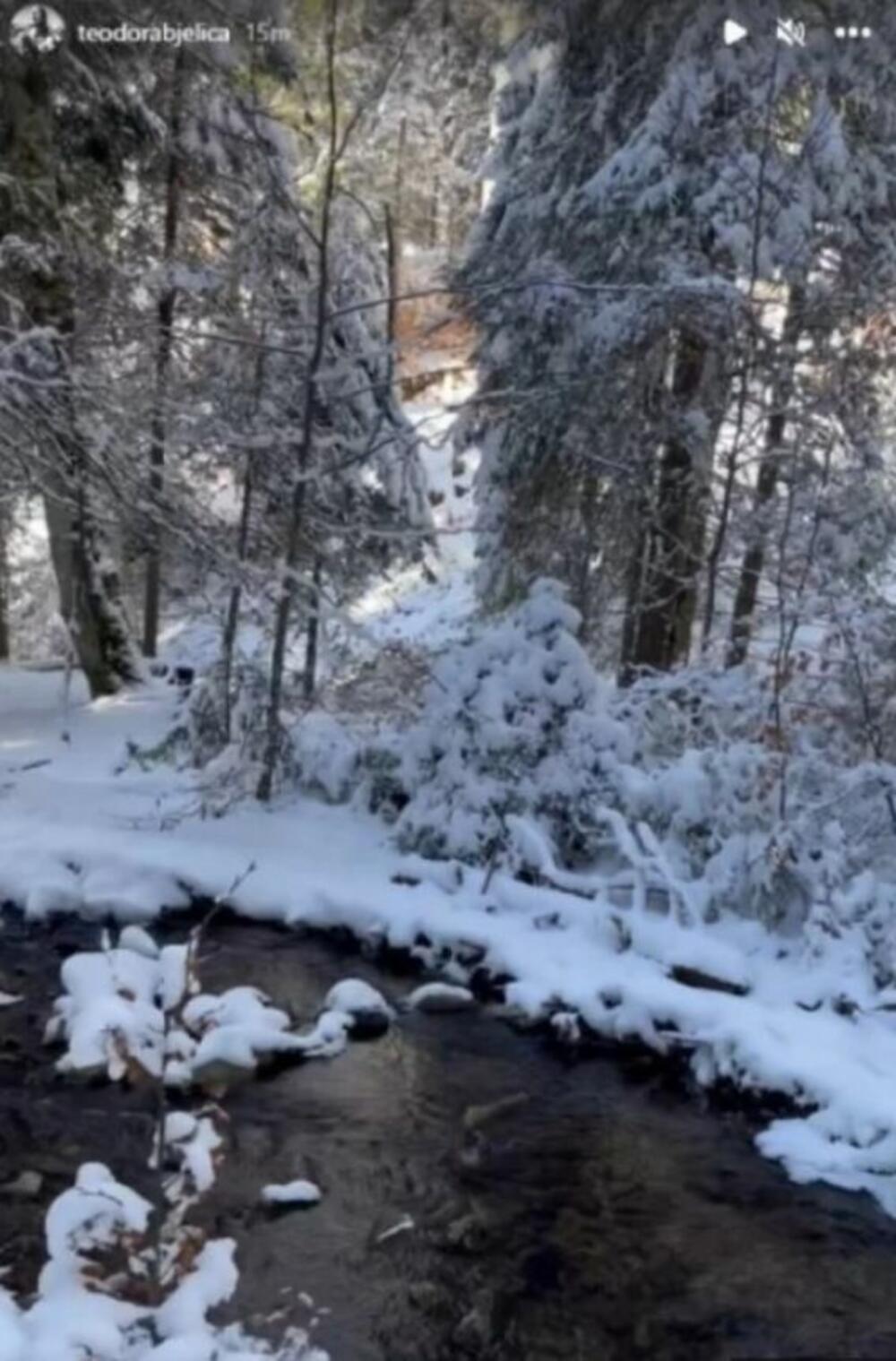 Objava Teodore Bjelice