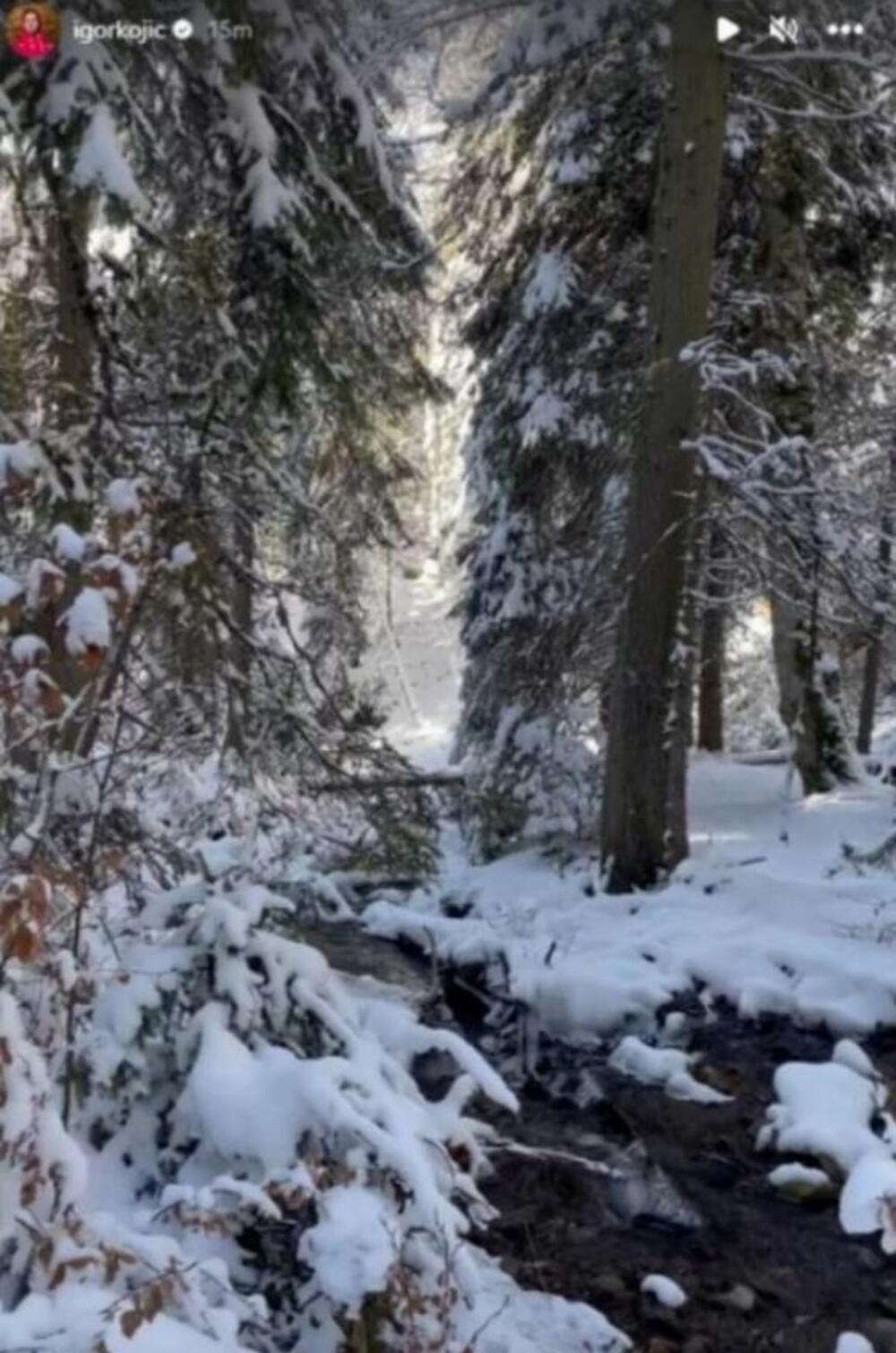 Objava Igora Kojića