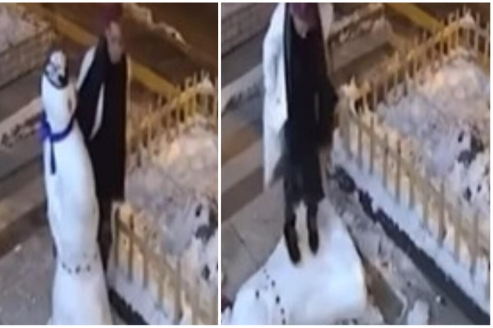 NAMERAČILA SE NA SNEŠKA, HTELA DA GA UNIŠTI: Njena PAKOST nije prošla NEKAŽNJENO, debelo ju je PLATILA (VIDEO)