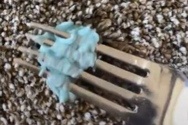 VIŠE NE MORATE DA SE MUČITE SA ZALEPLJENIM ŽVAKAMA, POSTOJI BRZO REŠENJE: 1 namirnica iz kuhinje sve rešava (VIDEO)