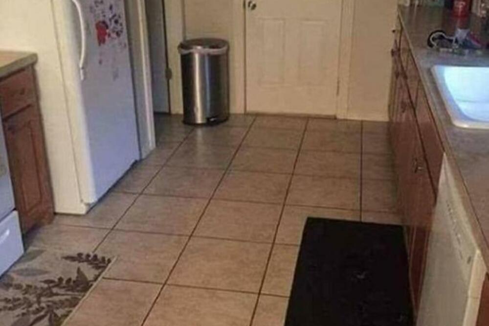 JEDNA SKRIVALICA ZALUDELA JE POLA SVETA: Možete li da pronađete psa na slici (FOTO)