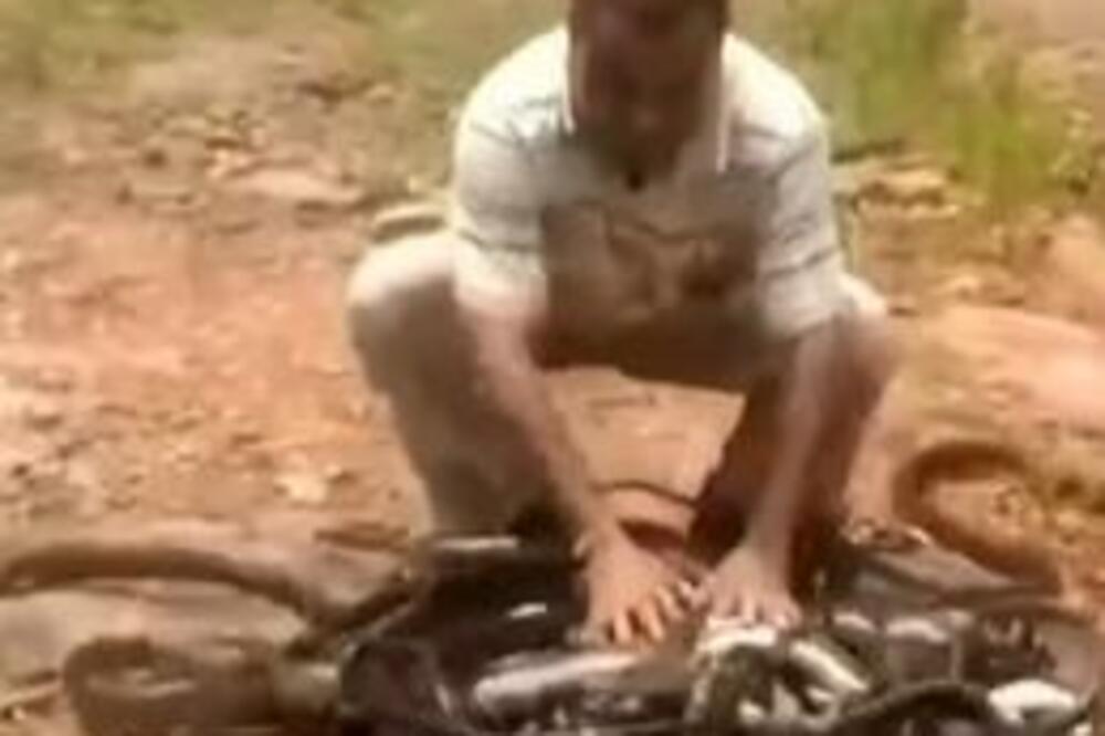 BACIO DŽAK PUN ZMIJA SEBI POD NOGE PA KRENUO DA IH POMAZI: Nastavak koji sledi je kao iz NAJGORE NOĆNE MORE (VIDEO)