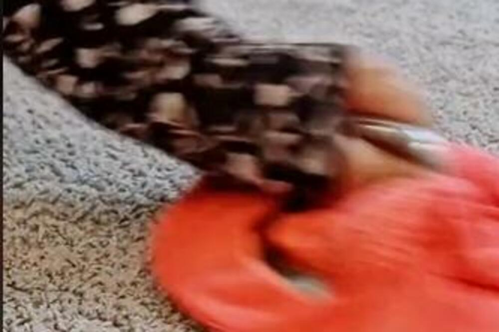 UZMITE POKLOPAC OD ŠERPE I MAGIČNU KRPU: Njihova KOMBINACIJA čini ČUDO, evo i koje (VIDEO)