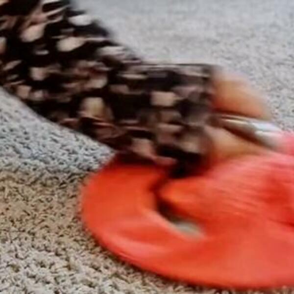 UZMITE POKLOPAC OD ŠERPE I MAGIČNU KRPU: Njihova KOMBINACIJA čini ČUDO, evo i koje (VIDEO)