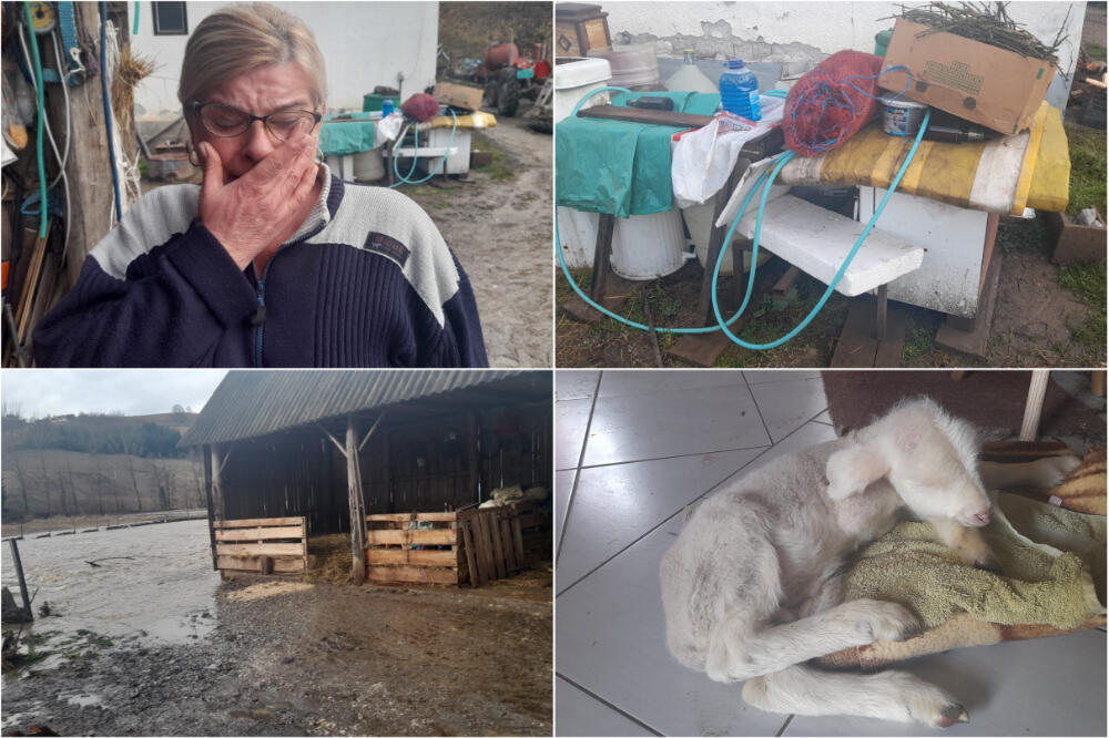 "SVE JE BILO POD VODOM, UTOPILE SU NAM SE ŽIVOTINJE!" Dramatična ispovest Gordane iz Živice, PRETUŽAN PRIZOR (FOTO)