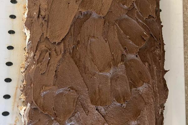 OVU TORTU TRENUTNO PRAVI NAJVEĆI BROJ SRBA U ZEMLJI: Zbog 1 sastojka u njoj deca će da je POČISTE SA STOLA (VIDEO)