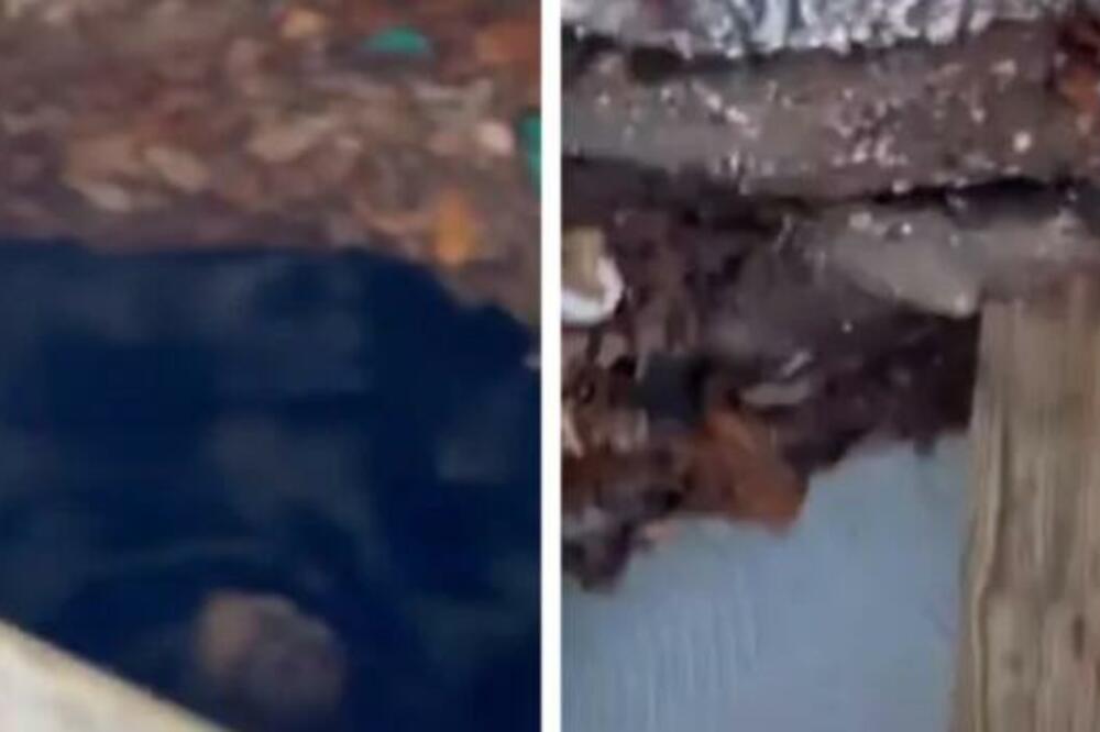 ŽENA SE UMALO NIJE ŠLOGIRALA KAD JE VIDELA ŠTA JOJ LEŽI ISPOD TERASE: Nije se usudila da priđe! (VIDEO)