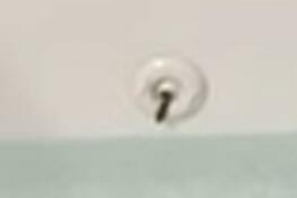 KRENULA JE DA SE OKUPA, A U KADI JE PRVO UGLEDALA JEZIK, PA ONDA I GLAVU: Mogla je samo da vrišti, JEZIVO (VIDEO)