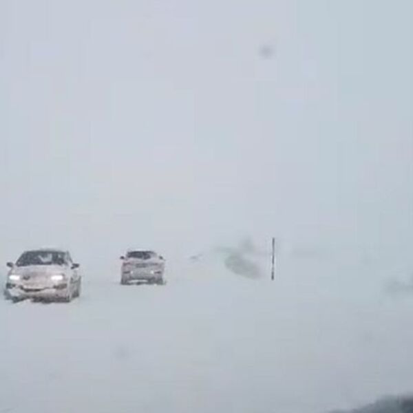 VOZAČI STALNO GREŠE KADA VOZE PO KLIZAVOM ASFALTU: Ovo je JEDINO pravo REŠENJE za poledicu, morate nežno...