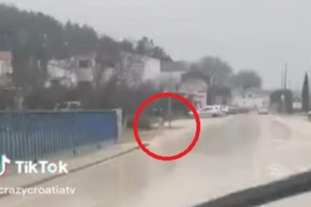 GORE MREŽE ZBOG SNIMKA IZ HRVATSKE, KAMERE SNIMILE STVORENJE U BLIZINI ŠKOLE: Šta li je u pitanju? (VIDEO)