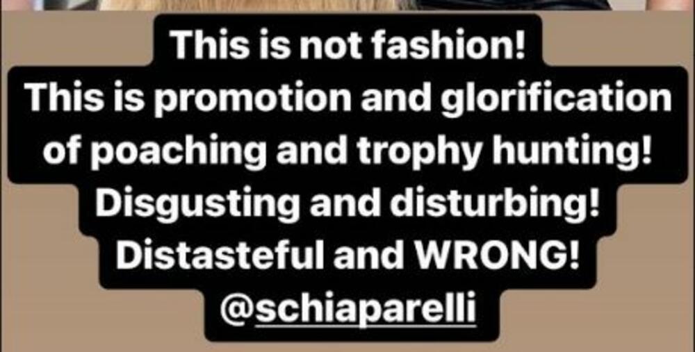 Objava Jelene Karleuše