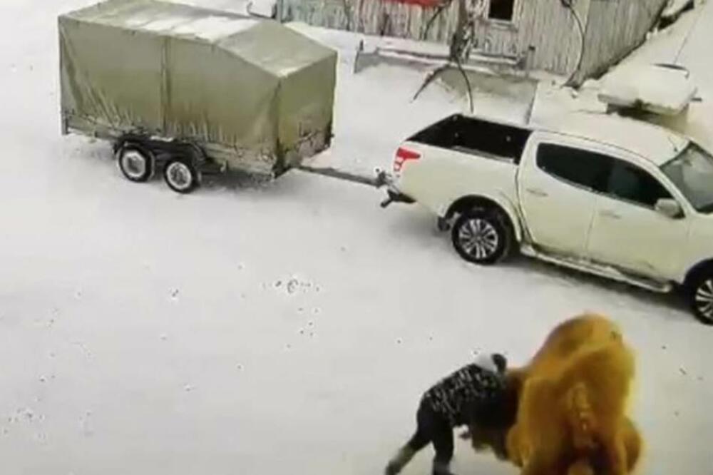 PIJANAC NAPAO KAMILU, NABO JE U GLAVU, A ONDA PROŠAO KROZ PAKAO: Ono što mu je uradila je PRAVI HOROR! (VIDEO)